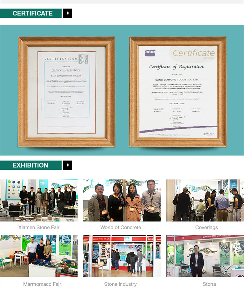 company information